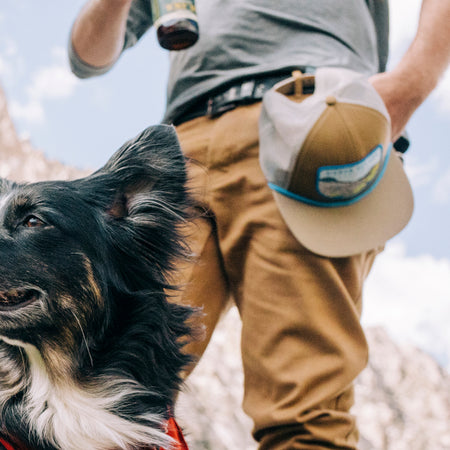 closeup of a hat stored on a man's belt loop with his dog looking off into the distance