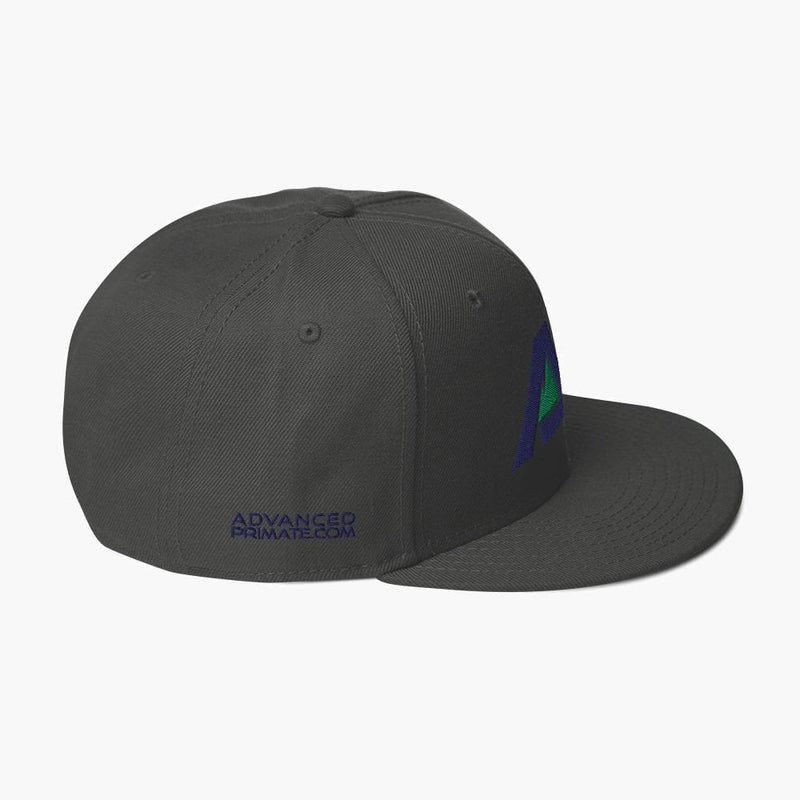AP Snapback Hat--Charcoal--side view