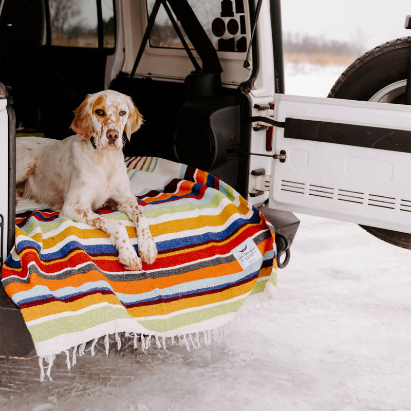 Trek Light Gear Halley's Comet Blanket--dog blanket in back of SUV