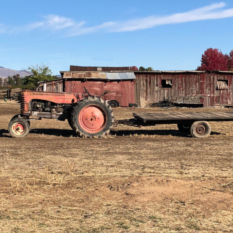rustic tractor sitting in front of a decrepit barn