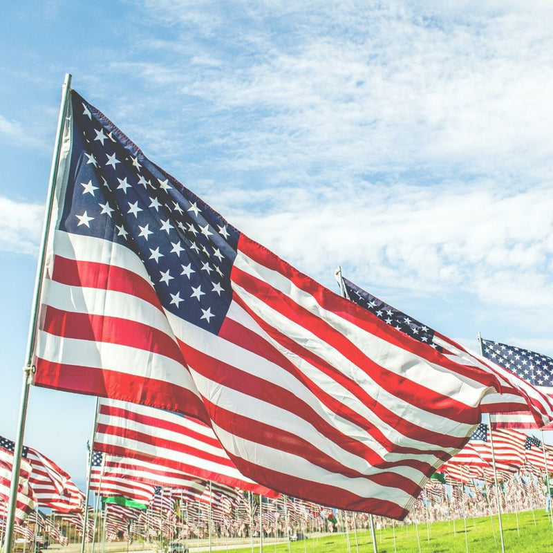 Low angle shot of hundreds of American flags posted in the grass with a blue sky in the background