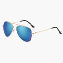 Polarized Aviator Sunglasses--Main Image