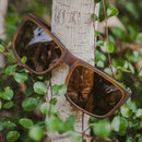 Butte Eco Matte Caramel/Brown Polarized Lens--on tree