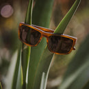 Butte Eco Matte Caramel/Brown Polarized Lens--on plant