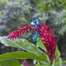 Eagle Aluminum Gunmetal/Polarized Lens--Rests on a forest plant.