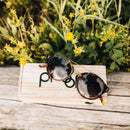 Wilder Eco Matte tortoiseshell sunglasses on Proof box