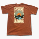 nature backs sol brown - back view