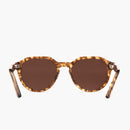 Goodson Eco Tortoise--Rear