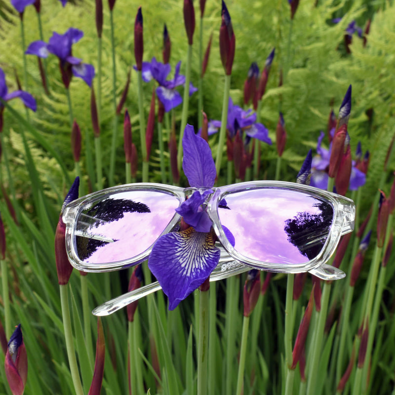 Good Day Sunglasses Purple Daze Sunshines--iris lifestyle view