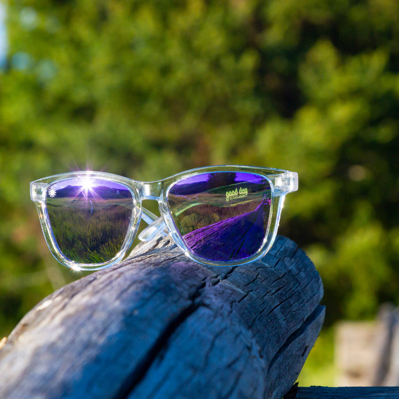 Good Day Sunglasses Purple Daze Sunshines--sunglasses on a log