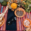Rainier Tortoise Split/Brown Polarized Lens sunglasses on woven blanket surrounded by foraged items
