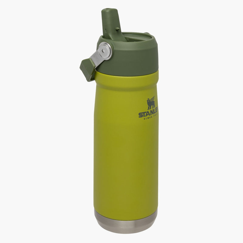 https://advancedprimate.com/cdn/shop/products/stanley_classic_iceflow_flip_straw_water_bottle_22oz_straw-open-straw_front_advanced_primate_f8_800x.jpg?v=1625160201